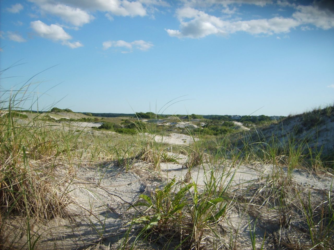 10 Top New England Beaches