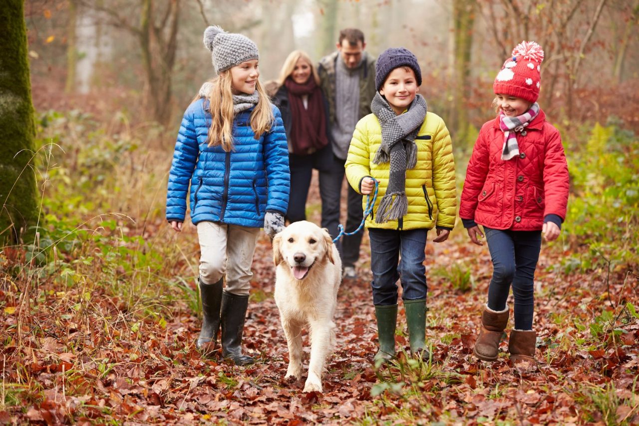 Keeping Your Pet Warm This Winter