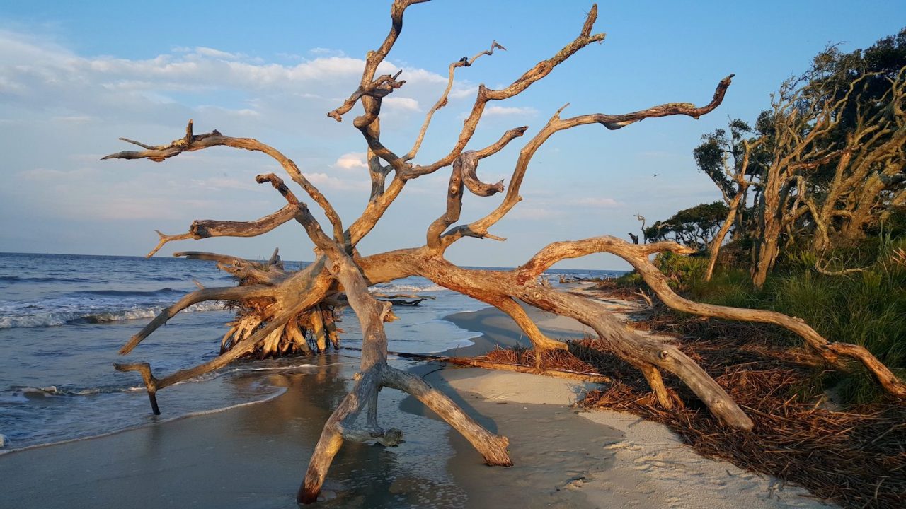 Top Georgia Beaches
