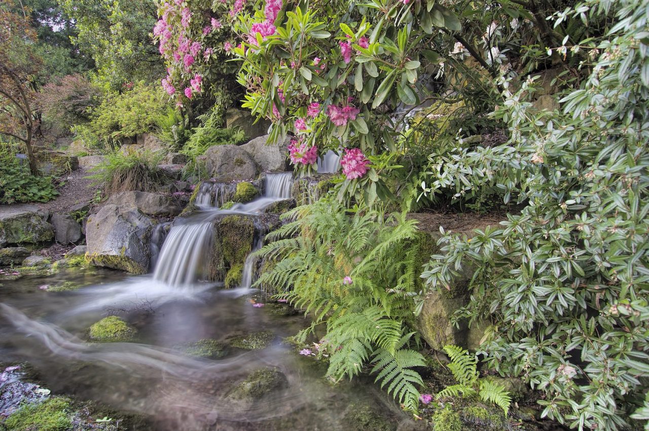 America’s Most Serene Gardens