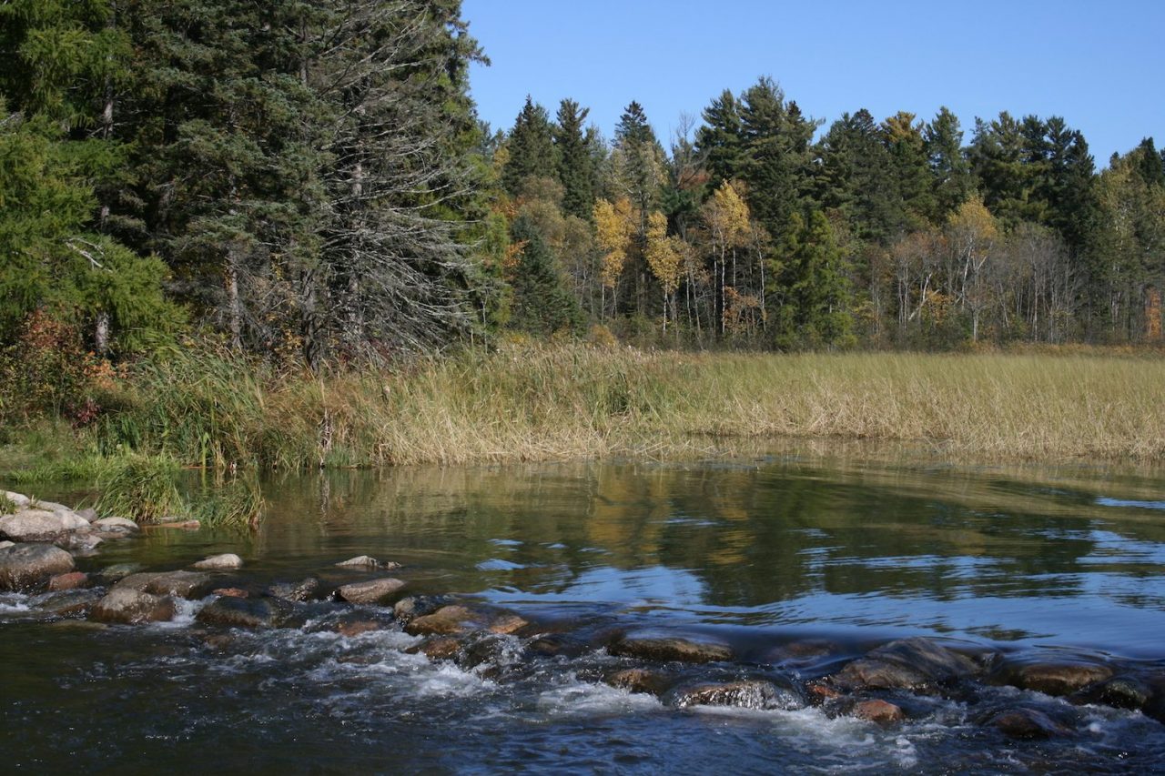Take the Ultimate Mississippi River Road Trip