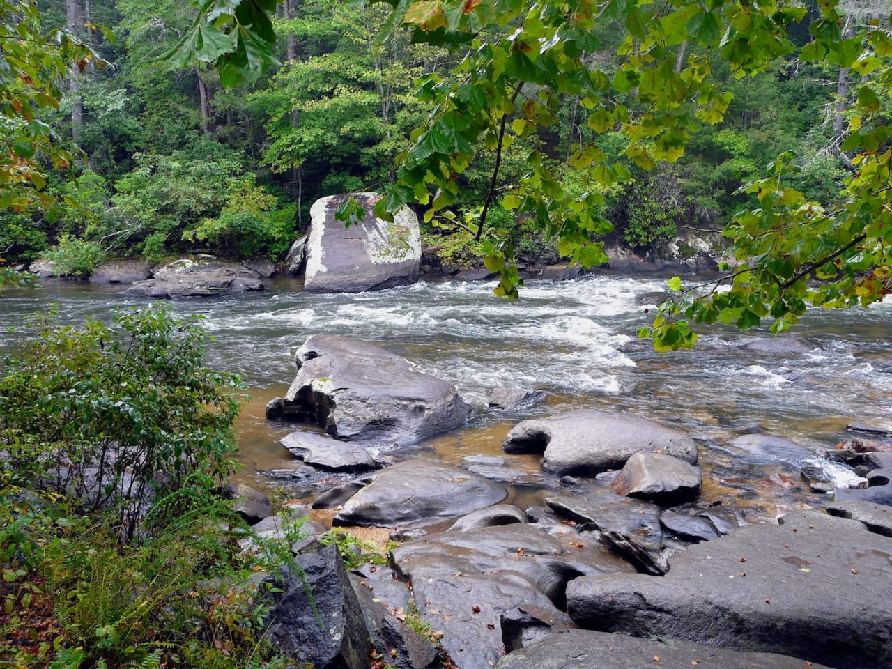Discover the Small Town of Mineral Bluff