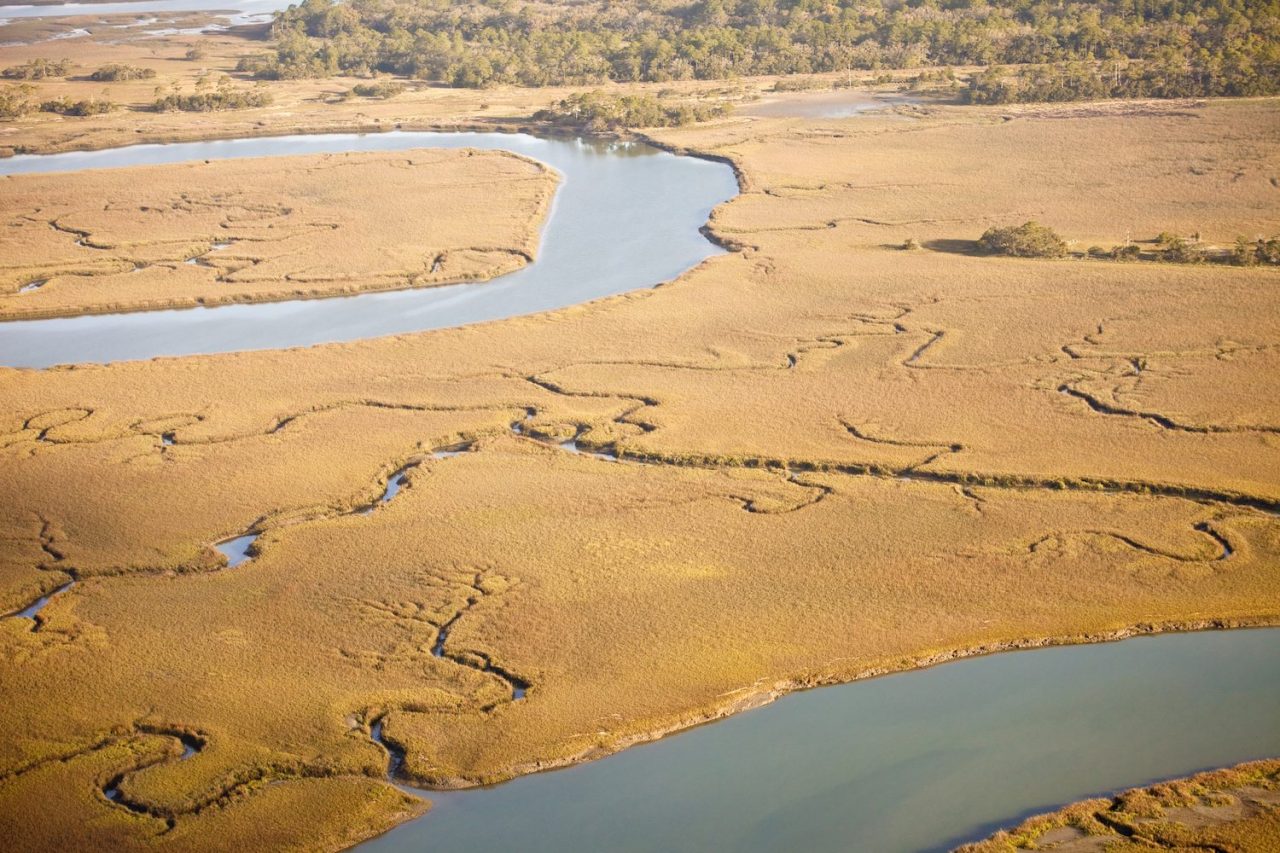 Road Trip South Carolina’s Coastal Low Country