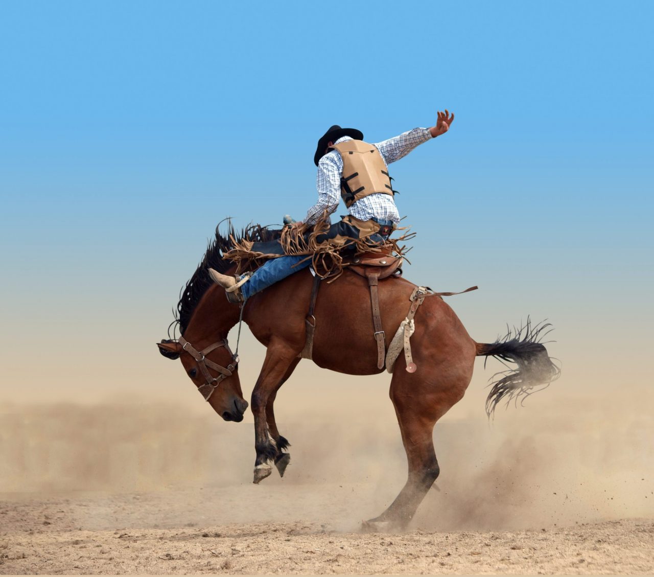 Top Rodeos in the U.S.