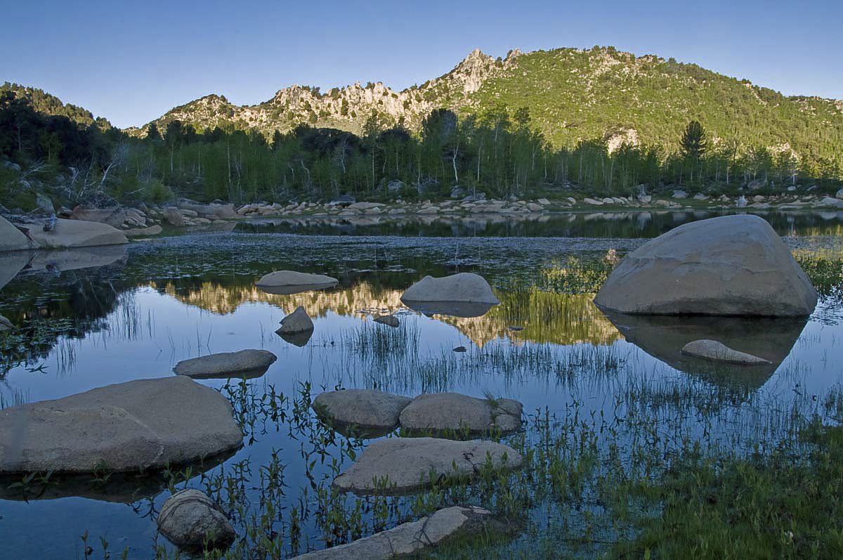 Pine Forest Range Wilderness