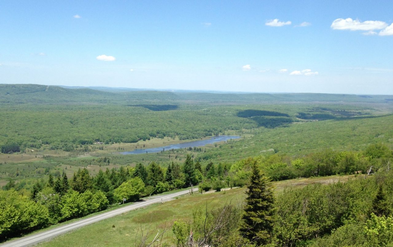 Canaan Valley National Wildlife Refuge