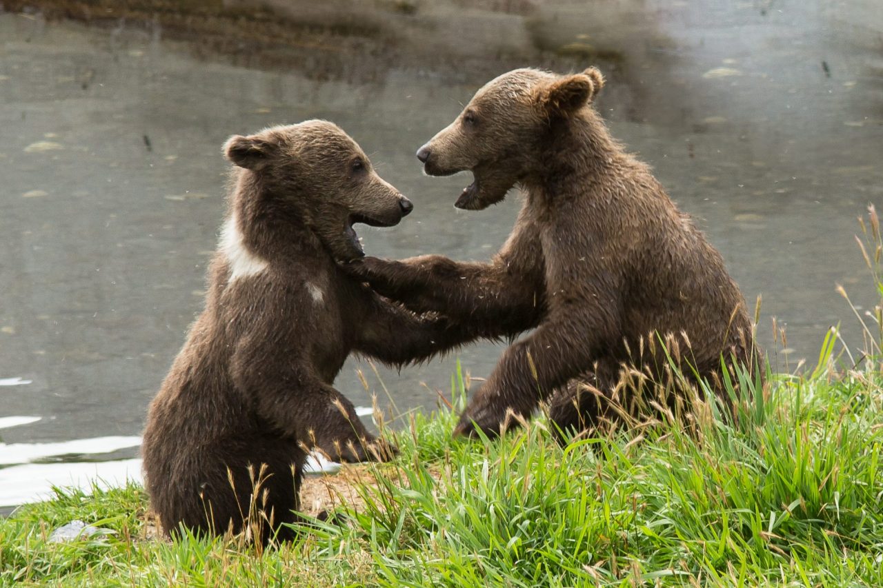 Kodiak National Wildlife Refuge