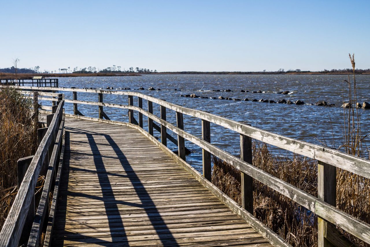 Back Bay National Wildlife Refuge