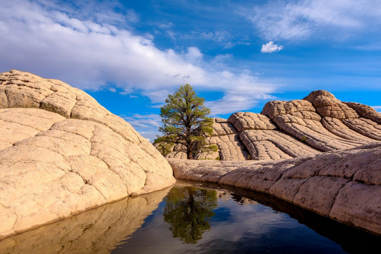 Vermillion Cliffs National Monument