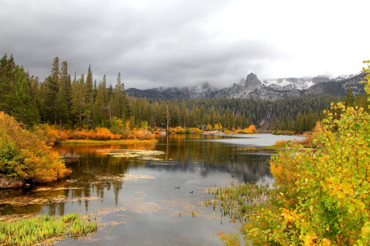 Mammoth Lakes