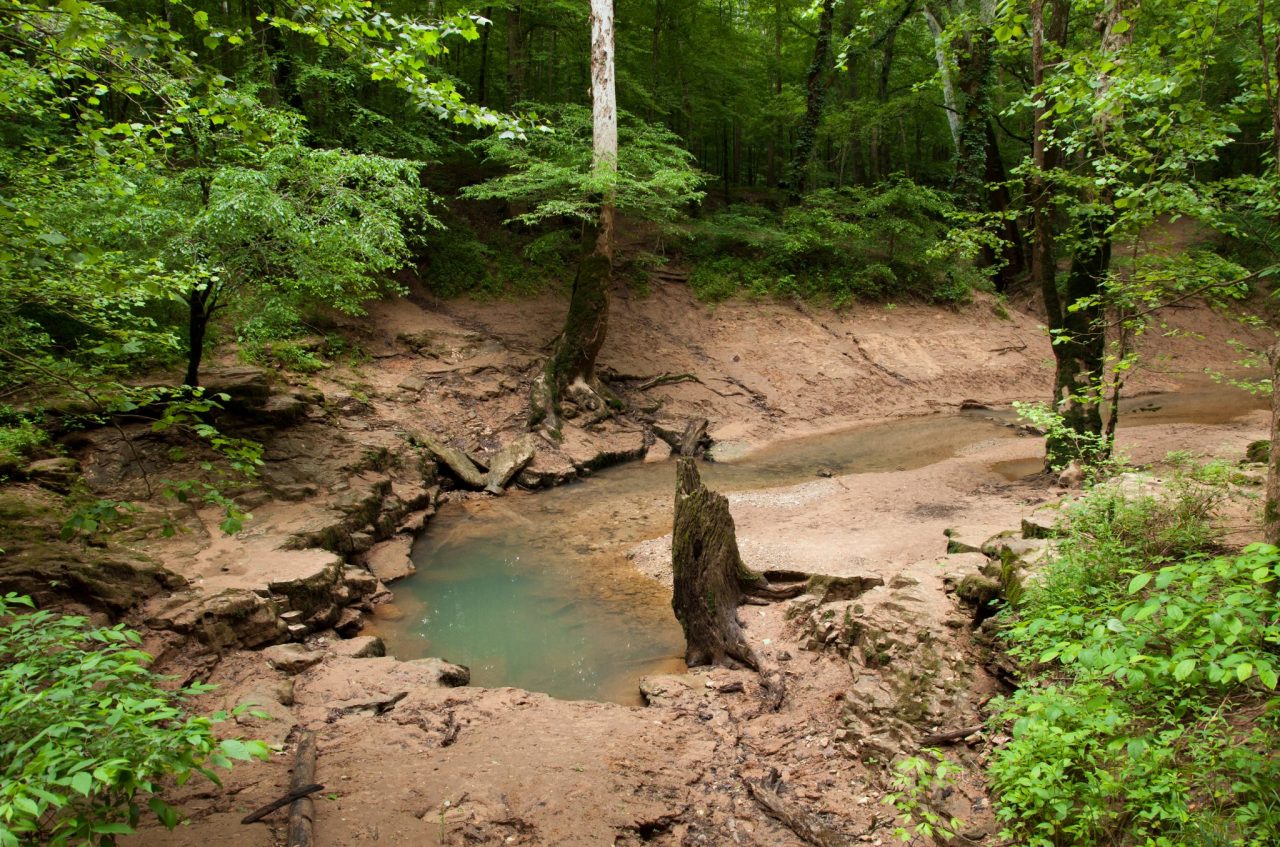 Visit Bowling Green, Kentucky