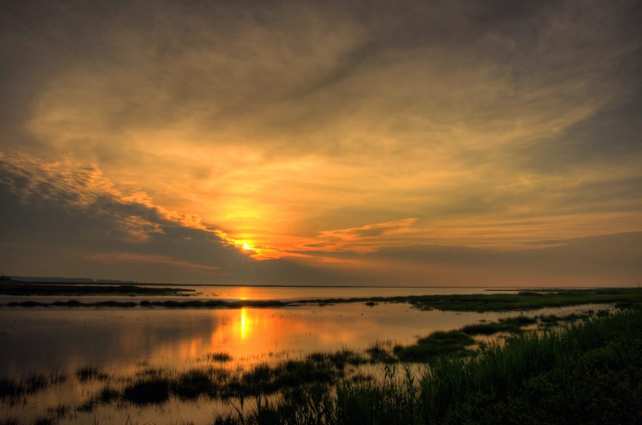 Bombay Hook National Wildlife Refuge