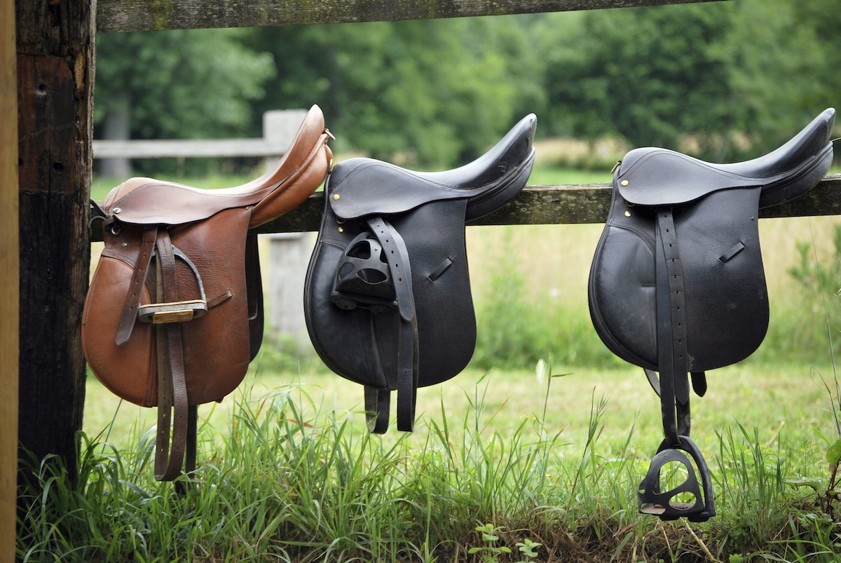 Experience Forever Florida’s Cattle Ranching Experience