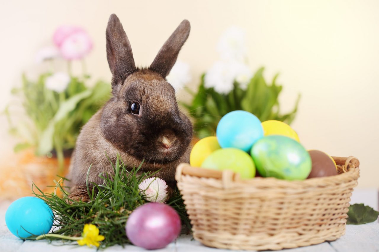 The World’s Largest Easter Egg Hunt