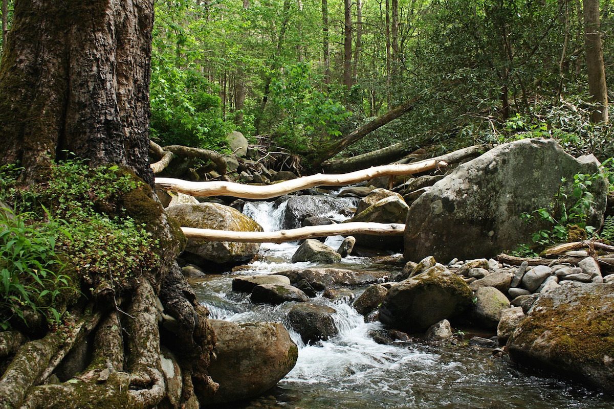 Guide to Visiting Gatlinburg, TN