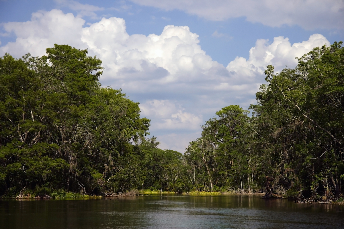Silver Springs State Park