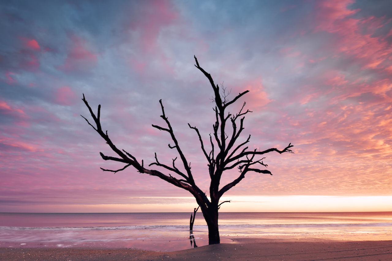 Quick Guide to Edisto Island, SC