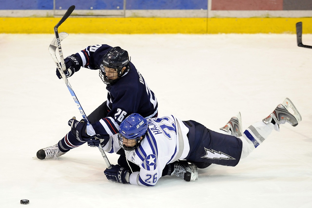 Top NHL Arenas to Catch a Hockey Game