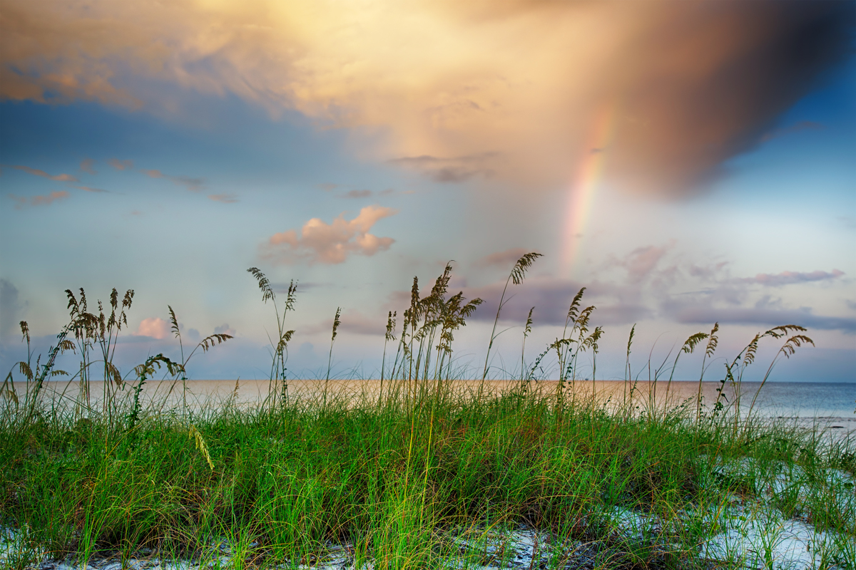 Quick Guide to Biloxi, MS
