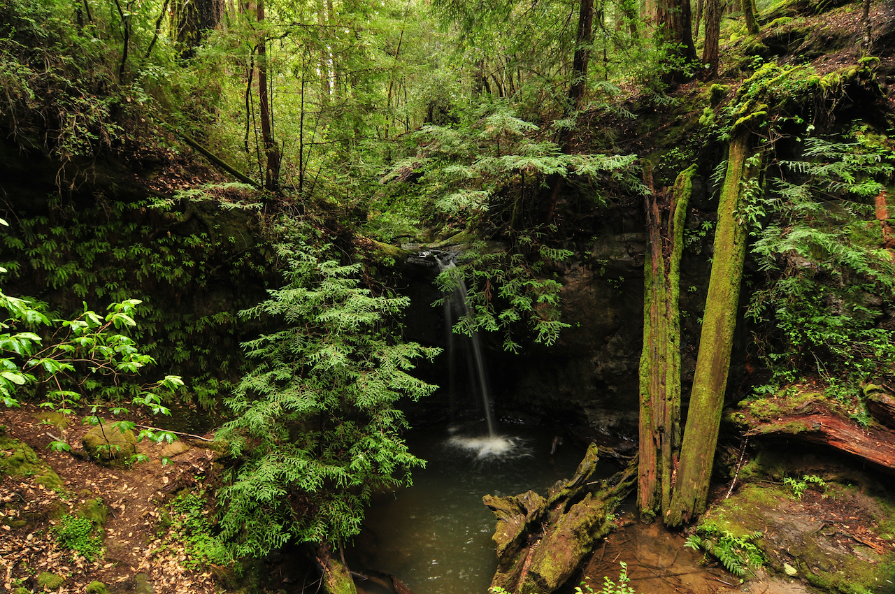 See Stunning Sempervirens Falls
