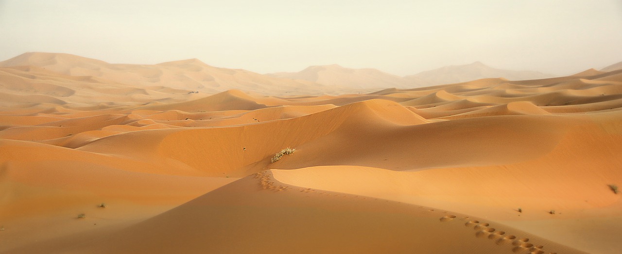 Visit the Amargosa Sand Dunes