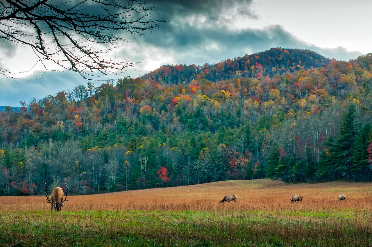 Charming Small Towns in North Carolina
