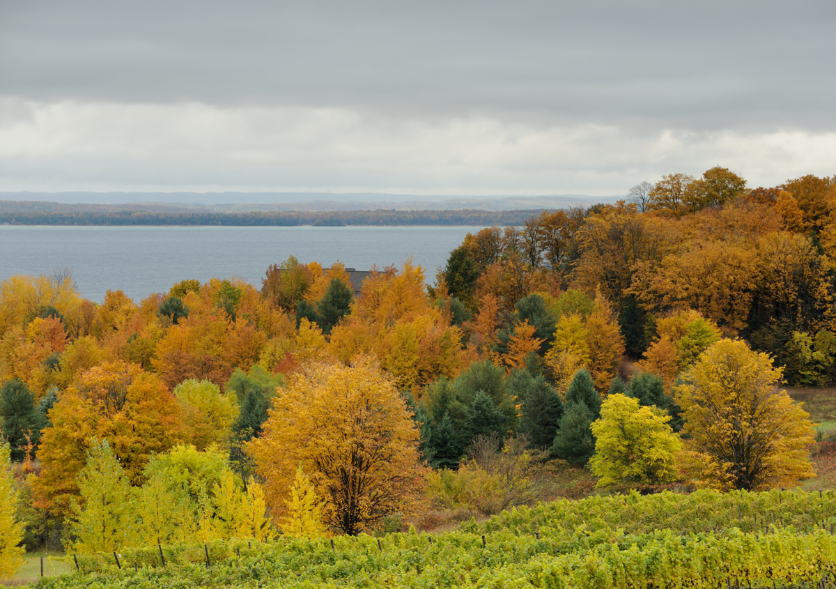 Quick Guide to Traverse City, MI