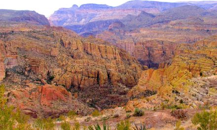 Tonto National Forest & Land Bridge