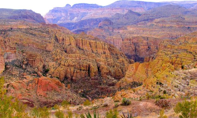 Tonto National Forest & Land Bridge