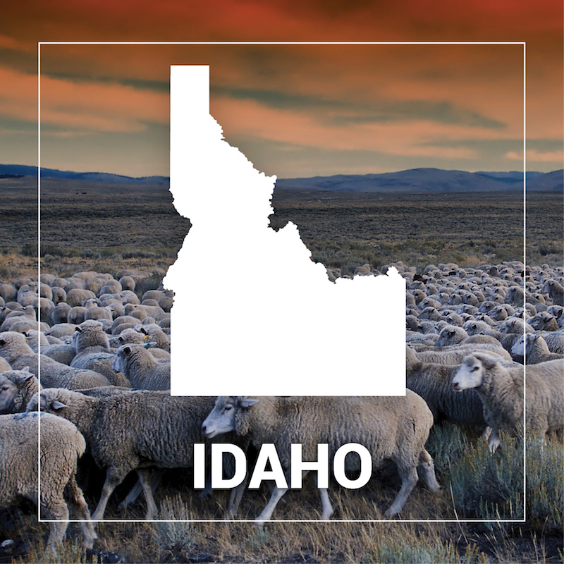 Idaho