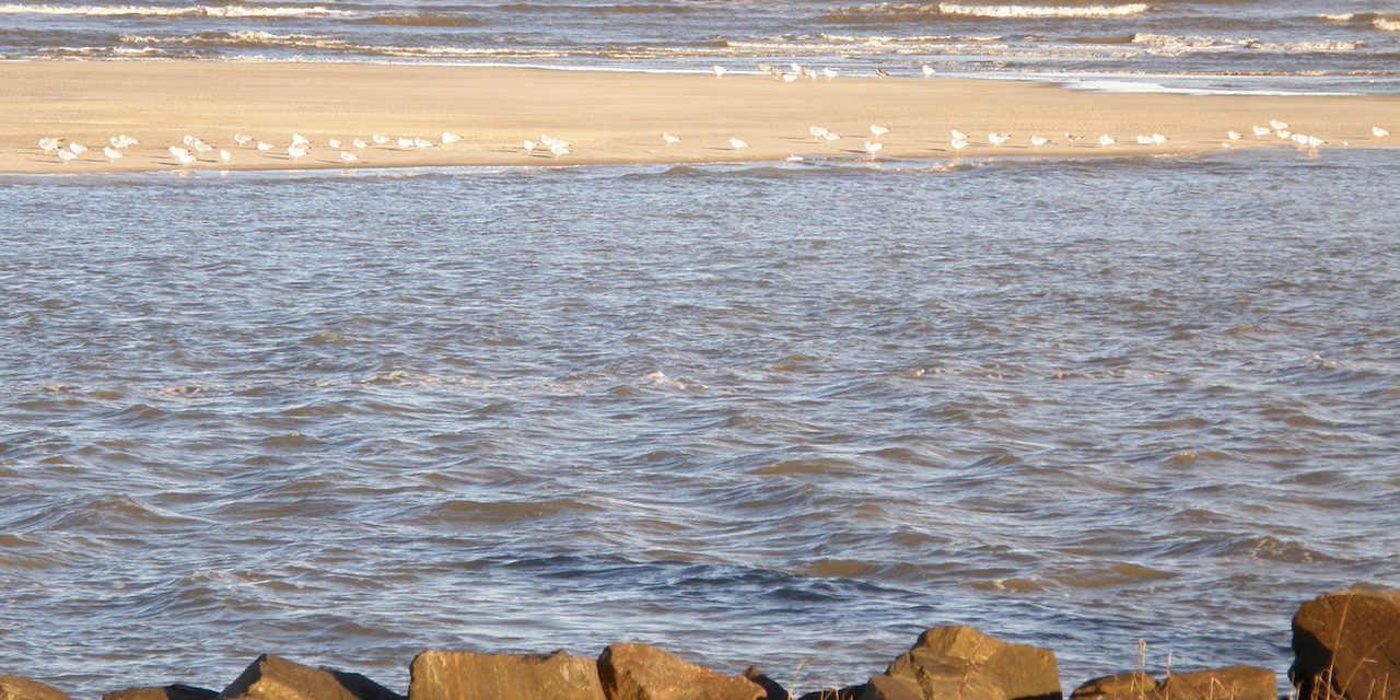 Visit St. Simons Island