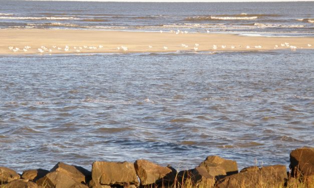 Visit St. Simons Island