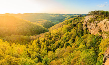 Daniel Boone National Forest