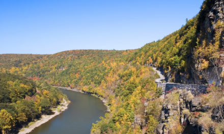 Hawk’s Nest New York