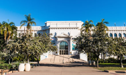 Visiting The San Diego Natural History Museum
