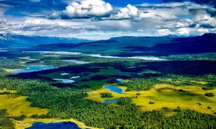 Denali National Park & Preserve