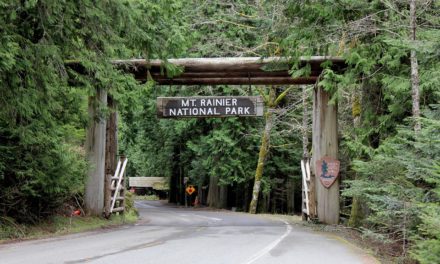 Mt. Rainier National Park