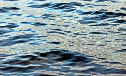 Quick Guide to Lake Sakakawea, North Dakota