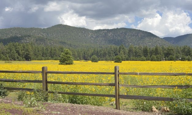 Quick Guide to Flagstaff, Arizona