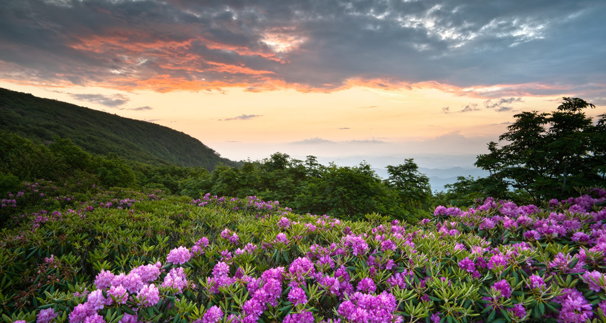 Best National Parks in Spring