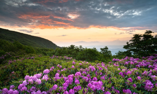 Best National Parks in Spring