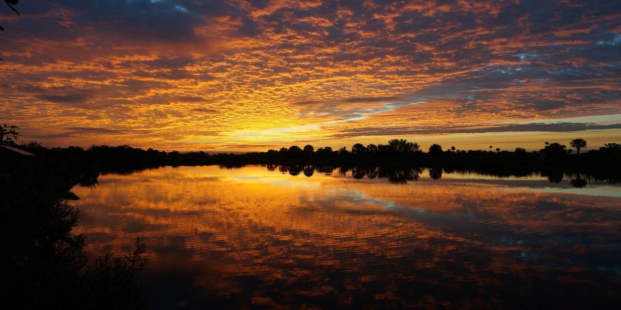 Big Cypress National Preserve