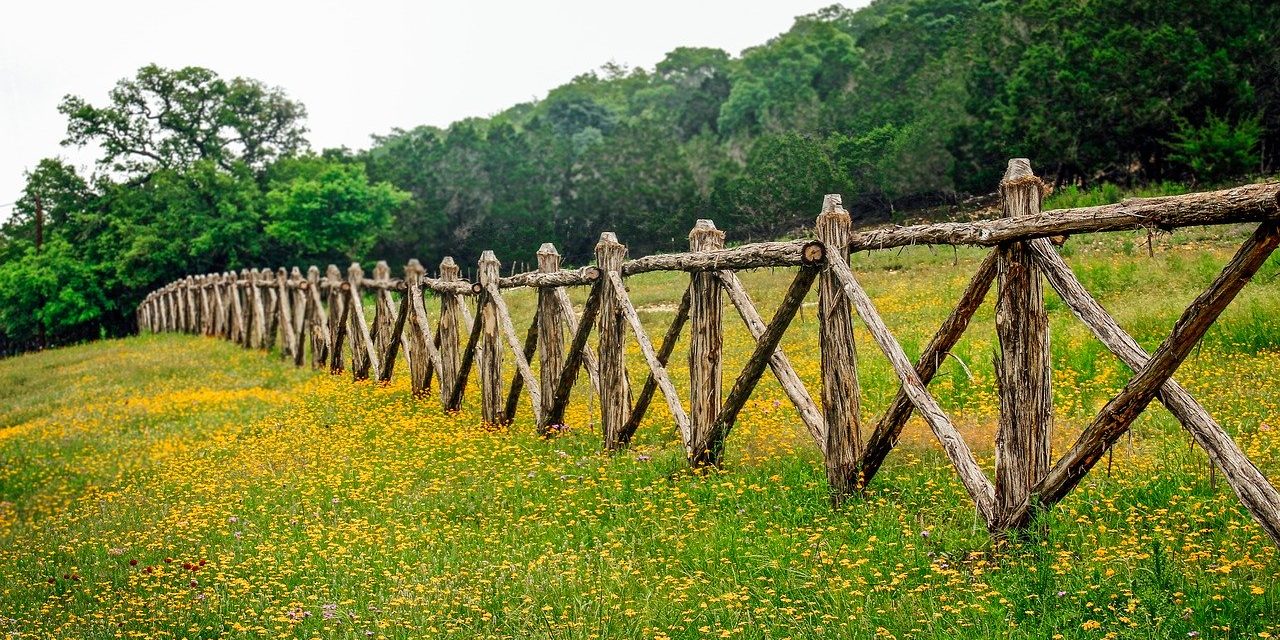 Visiting Hill Country
