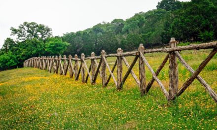 Visiting Hill Country