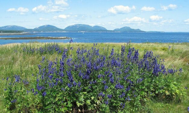 5 Northeast Scenic Drives During Spring