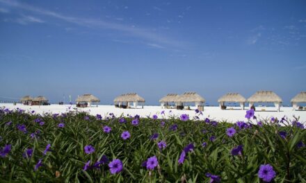 Quick Guide to Marco Island, Florida